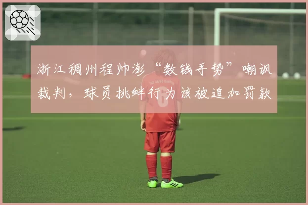 浙江稠州程帅澎“数钱手势”嘲讽裁判，球员挑衅行为该被追加罚款吗？
