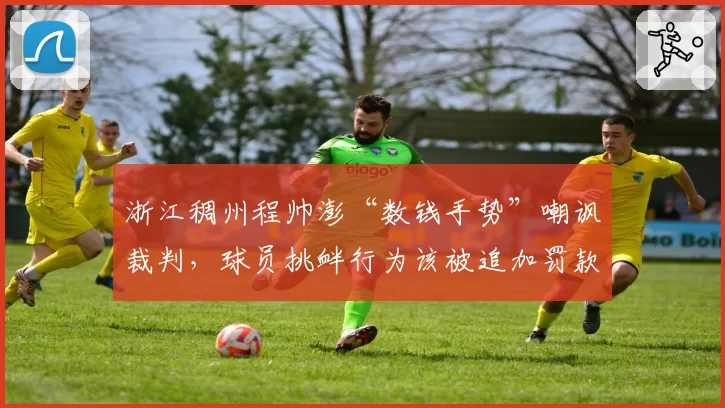 浙江稠州程帅澎“数钱手势”嘲讽裁判，球员挑衅行为该被追加罚款吗？